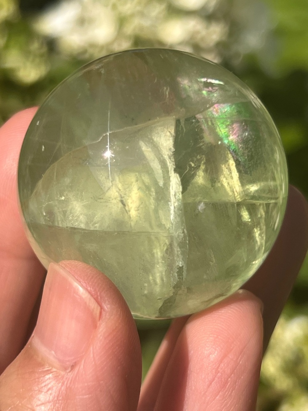 Green (3) apple fluorite sphere | crystal